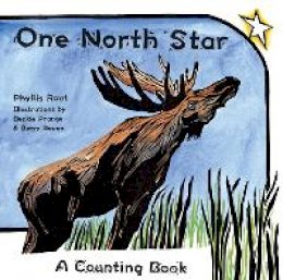 Phyllis Root - One North Star: A Counting Book - 9780816650637 - V9780816650637