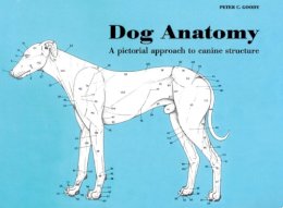 Peter Goody - Dog Anatomy - 9780851316369 - V9780851316369