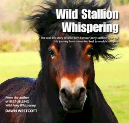 Dawn Westcott - Wild Stallion Whispering: The Real-Life Story of Wild-Born Exmoor Pony Stallion Bear and His Journey from Unwanted Foal to World Champion - 9780857042934 - V9780857042934