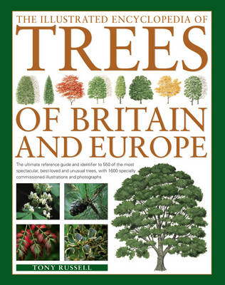 Tony Russell - The Illustrated Encyclopedia of Trees of Britain and Europe: The Ultimate Reference Guide And Identifier To 550 Of The Most Spectacular, Best-Loved ... Commissioned Illustrations And Photographs - 9780857236456 - V9780857236456