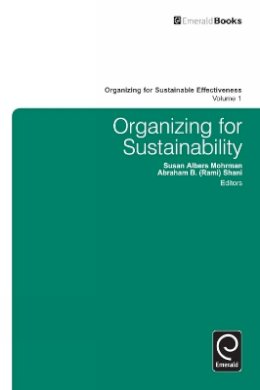 Ravi Ramamurti - Organizing for Sustainability - 9780857245571 - V9780857245571