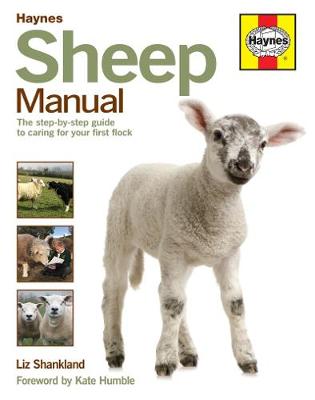 Liz Shankland - Sheep Manual: The complete step-by-step guide to caring for your flock - 9780857337702 - V9780857337702