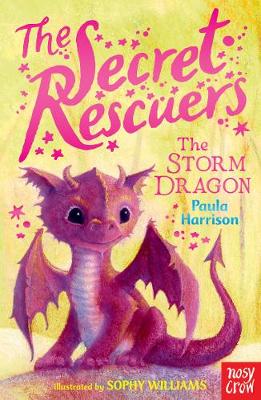 Paula Harrison - The Secret Rescuers: The Storm Dragon - 9780857634771 - 9780857634771