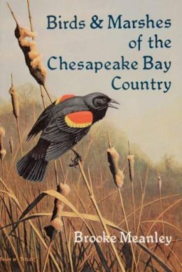 Brooke Meanley - Birds and Marshes of the Chesapeake Bay Country - 9780870332074 - V9780870332074