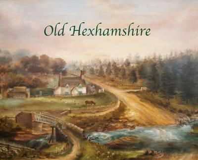 Hilary Kristensen - Old Hexhamshire: A Glimpse into the History of the 'Shire Over the Centuries - 9780955939532 - V9780955939532