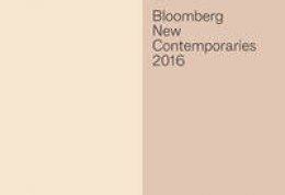 Kirsty Ogg - Bloomberg New Contemporaries 2016: Selected by Anya Gallaccio, Alan Kane and Haroon Mirza - 9780956613363 - V9780956613363