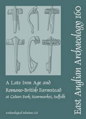 Kate Nicholson - A Late Iron Age and Romano-British Farmstead at Cedars Park, Stowmarket, Suffolk (East Anglian Archaeology) - 9780993247712 - V9780993247712