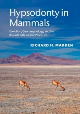 Richard H. Madden - Hypsodonty in Mammals: Evolution, Geomorphology, and the Role of Earth Surface Processes - 9781107012936 - V9781107012936