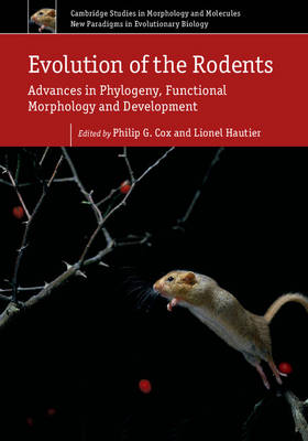 Philip Cox - Cambridge Studies in Morphology and Molecules: New Paradigms in Evolutionary Bio Evolution of the Rodents: Series Number 5: Volume 5 - 9781107044333 - V9781107044333