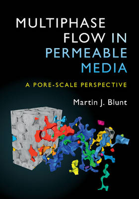 Martin J. Blunt - Multiphase Flow in Permeable Media: A Pore-Scale Perspective - 9781107093461 - V9781107093461