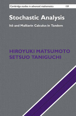 Hiroyuki Matsumoto - Cambridge Studies in Advanced Mathematics: Series Number 159: Stochastic Analysis: Ito and Malliavin Calculus in Tandem - 9781107140516 - V9781107140516
