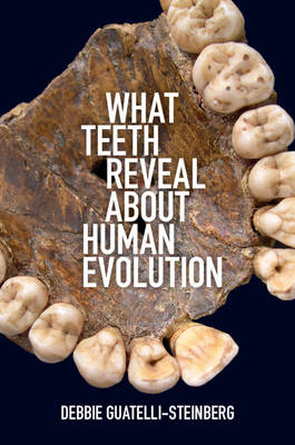 Debbie Guatelli-Steinberg - What Teeth Reveal about Human Evolution - 9781107442603 - V9781107442603