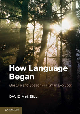 David Mcneill - How Language Began: Gesture and Speech in Human Evolution - 9781107605497 - V9781107605497