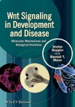 Stefan P. Hoppler - Wnt Signaling in Development and Disease: Molecular Mechanisms and Biological Functions - 9781118444160 - V9781118444160