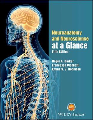 Roger A. Barker - Neuroanatomy and Neuroscience at a Glance - 9781119168416 - V9781119168416