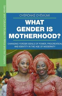 Oyeronke Oyewumi - What Gender is Motherhood?: Changing Yoruba Ideals of Power, Procreation, and Identity in the Age of Modernity - 9781349580514 - V9781349580514