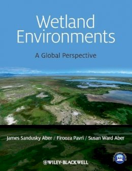 James S. Aber - Wetland Environments: A Global Perspective - 9781405198424 - V9781405198424