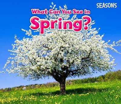 Sian Smith - What Can You See In Spring? - 9781406283273 - V9781406283273