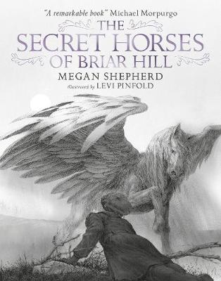Shepherd, Megan - The Secret Horses of Briar Hill - 9781406367584 - V9781406367584