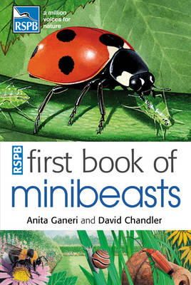 Anita Ganeri - Rspb First Book of Minibeasts - 9781408137154 - V9781408137154