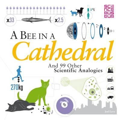 Joel Levy - A Bee in a Cathedral: And 99 other scientific analogies - 9781408171820 - V9781408171820
