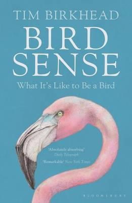Tim Birkhead - Bird Sense: What It´s Like to Be a Bird - 9781408830543 - V9781408830543