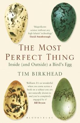 Tim Birkhead - The Most Perfect Thing: Inside (and Outside) a Bird's Egg - 9781408851272 - 9781408851272