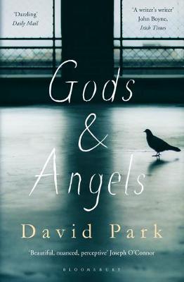 David Park - Gods and Angels - 9781408866092 - V9781408866092
