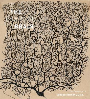Larry Swanson - Beautiful Brain: The Drawings of Ramon y Cajal: The Drawings of Ramon y Cajal - 9781419722271 - V9781419722271