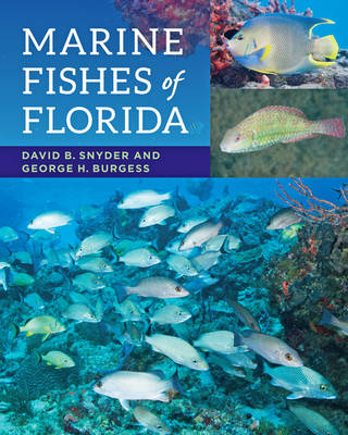 David B. Snyder - Marine Fishes of Florida - 9781421418728 - V9781421418728