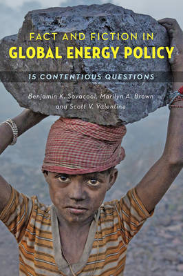 Assoc Prof. Benjamin K. Sovacool - Fact and Fiction in Global Energy Policy: Fifteen Contentious Questions - 9781421418971 - V9781421418971