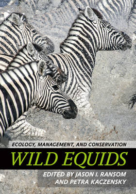 Jason I. Ransom - Wild Equids: Ecology, Management, and Conservation - 9781421419091 - V9781421419091