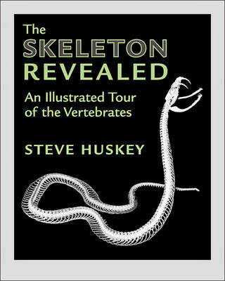 Steve Huskey - The Skeleton Revealed: An Illustrated Tour of the Vertebrates - 9781421421483 - V9781421421483