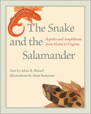 Alvin R. Breisch - The Snake and the Salamander: Reptiles and Amphibians from Maine to Virginia - 9781421421575 - V9781421421575