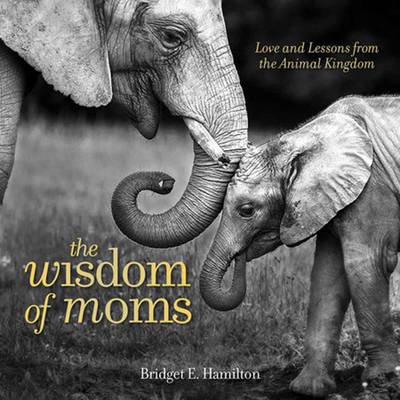 Bridget Hamilton - The Wisdom of Moms - 9781426218170 - V9781426218170