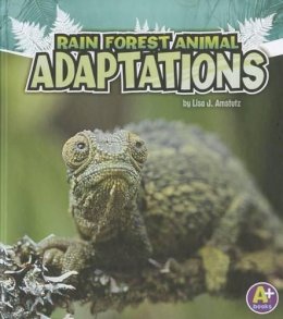 Lisa Amstutz - Rain Forest Animal Adaptations (Amazing Animal Adaptations) - 9781429670340 - V9781429670340