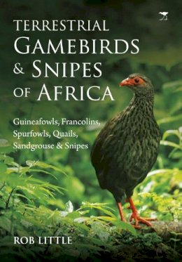 Rob Little - Terrestrial gamebirds & snipes of Africa: Guineafowls, Francolins, Spurfowls, Quails, Sangrouse & Snipes - 9781431424146 - V9781431424146