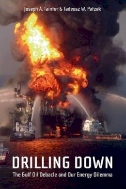 Joseph A. Tainter - Drilling Down: The Gulf Oil Debacle and Our Energy Dilemma - 9781441976765 - V9781441976765