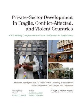 Sadika Hameed - Private-Sector Development in Fragile, Conflict-Affected, and Violent Countries - 9781442224919 - V9781442224919