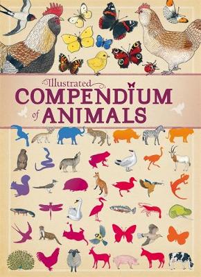 Virginie Aladjidi - Illustrated Compendium of Animals - 9781445151250 - V9781445151250