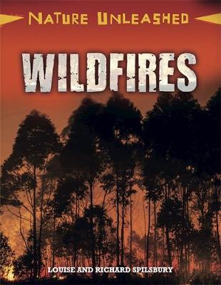 Louise Spilsbury - Nature Unleashed: Wildfires - 9781445153995 - V9781445153995