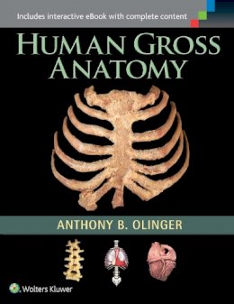 Anthony B. Olinger - Human Gross Anatomy - 9781451187403 - V9781451187403