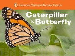 American Museum Of Natural History - Caterpillar to Butterfly - 9781454914068 - V9781454914068