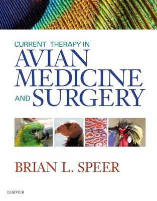 Brian L. Speer - Current Therapy in Avian Medicine and Surgery - 9781455746712 - V9781455746712