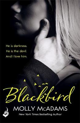 Molly Mcadams - Blackbird: A story of true love against the odds - 9781472247513 - V9781472247513