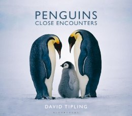 David Tipling - Penguins: Close Encounters - 9781472910004 - 9781472910004