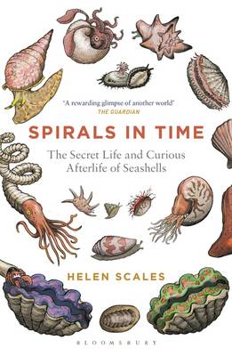 Helen Scales - Spirals in Time: The Secret Life and Curious Afterlife of Seashells - 9781472911384 - V9781472911384