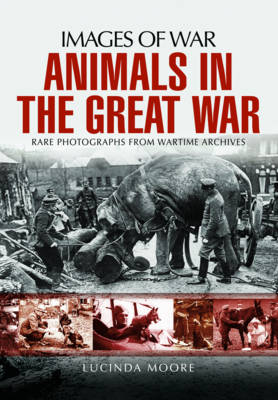 Lucinda Moore - Animals in the Great War - 9781473862111 - V9781473862111