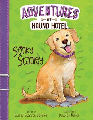 Shelley Swanson Sateren - Stinky Stanley - 9781474723800 - V9781474723800