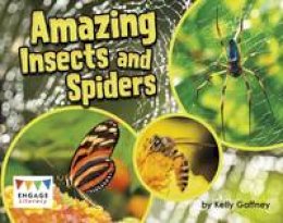 Kelly Gaffney - Amazing Insects and Spiders - 9781474729604 - V9781474729604